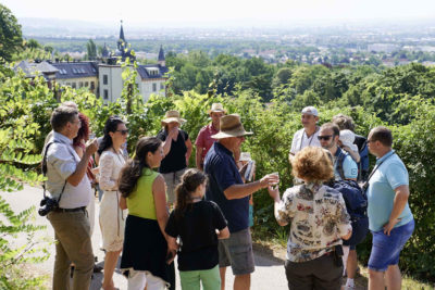 Steinrücken-Tour